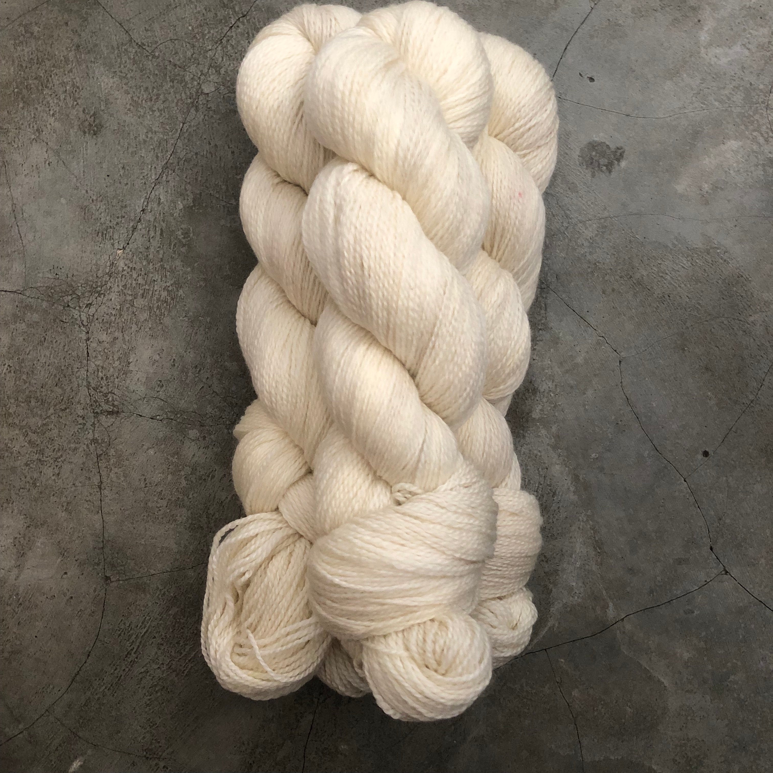 Warm Ivory